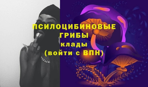 экстази Белокуриха