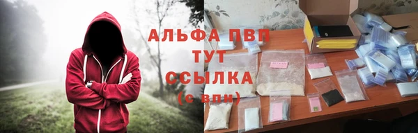 экстази Белокуриха