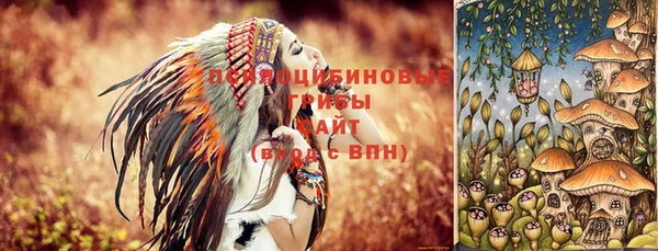 экстази Белокуриха