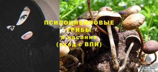 амф Беломорск
