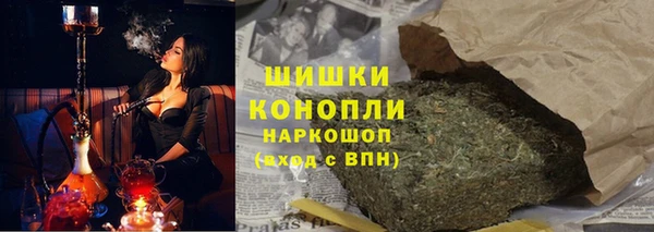 ПСИЛОЦИБИНОВЫЕ ГРИБЫ Корсаков