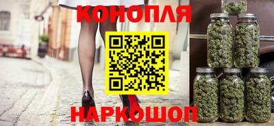 стафф Моздок