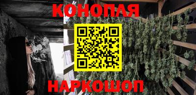 стафф Моздок