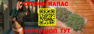 стафф Моздок