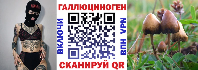 Галлюциногенные грибы Magic Shrooms  Сердобск 