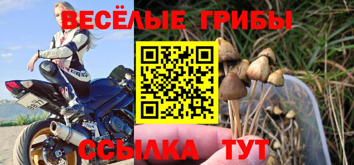 Псилоцибиновые грибы MAGIC MUSHROOMS Сердобск